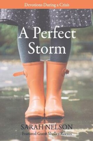 Cover of A Perfect Storm