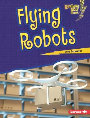Book cover for Flying Robots