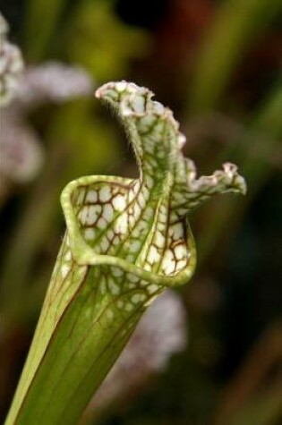 Cover of 2020 Weekly Planner Flowers Pretty Trumpet Pitcher Plant 134 Pages