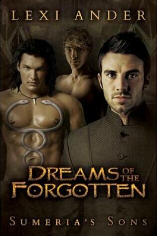 Cover of Dreams of the Forgotten