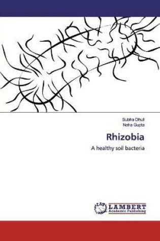 Cover of Rhizobia