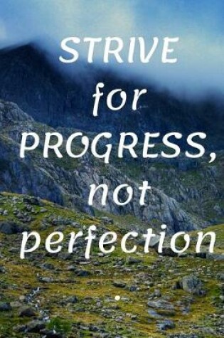 Cover of Strive The Progress Not Perfection