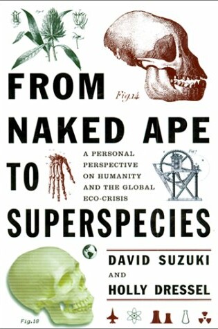 Cover of From Naked Ape to Super Species