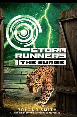 Book cover for Storm Runners #2