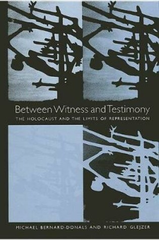 Cover of Between Witness and Testimony