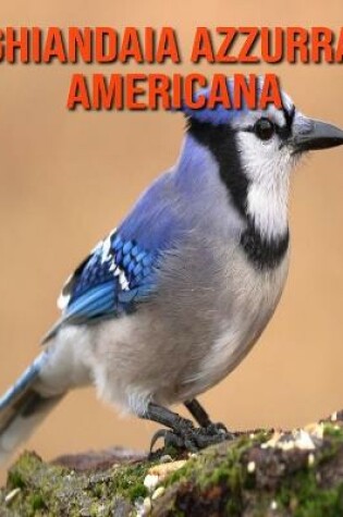 Cover of Ghiandaia azzurra americana