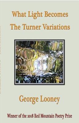 Book cover for What Light Becomes: The Turner Variations