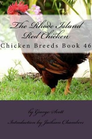 Cover of The Rhode Island Red Chicken