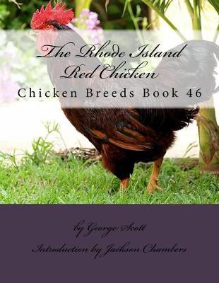 Book cover for The Rhode Island Red Chicken