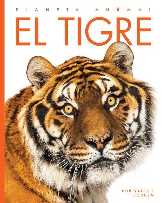 Book cover for El Tigre