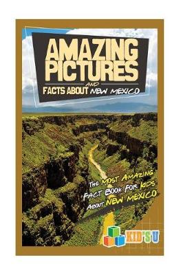 Book cover for Amazing Pictures and Facts about New Mexico