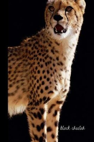 Cover of black cheetah