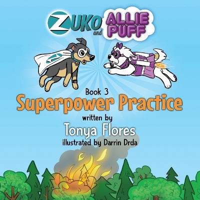 Book cover for Superpower Practice