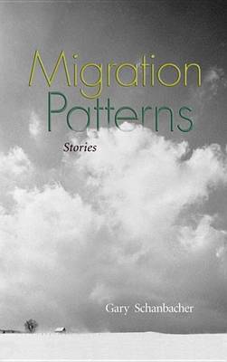 Book cover for Migration Patterns