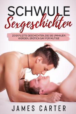 Book cover for Schwule Sexgeschichten