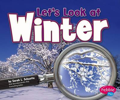Book cover for Let's Look at Winter