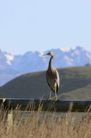 Cover of A White Faced Heron on a Fence in New Zealand