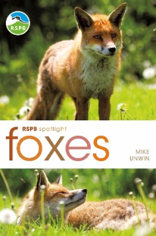Cover of RSPB Spotlight: Foxes