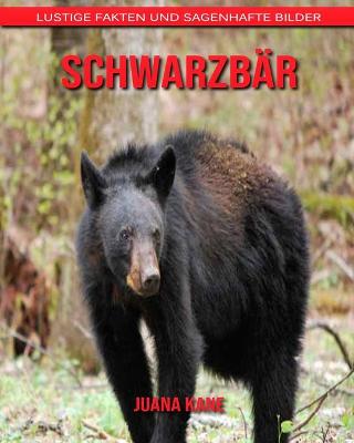 Book cover for Schwarzbär