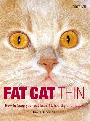 Book cover for Fat Cat Thin