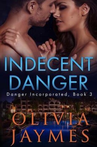 Cover of Indecent Danger