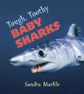 Book cover for Tough, Toothy Baby Sharks