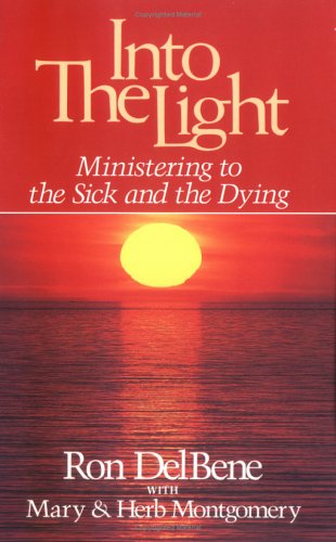 Book cover for Into the Light