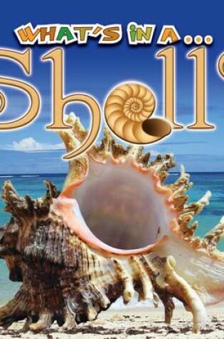 Cover of What's in a...Shell?
