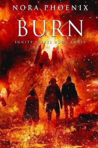 Cover of Burn