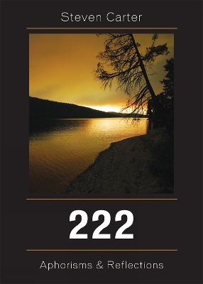 Book cover for 222