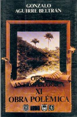 Book cover for Obra Antropolgica, XI