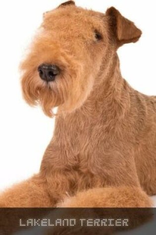 Cover of Lakeland Terrier