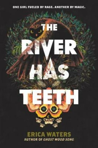 Cover of The River Has Teeth