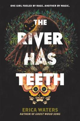 Book cover for The River Has Teeth