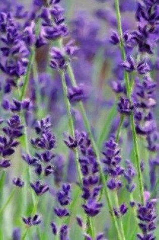 Cover of Wild Lavender - Lined Notebook with Margins