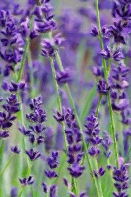 Book cover for Wild Lavender - Lined Notebook with Margins