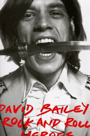 Cover of David Bailey's Heroes