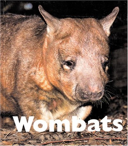 Book cover for Wombats