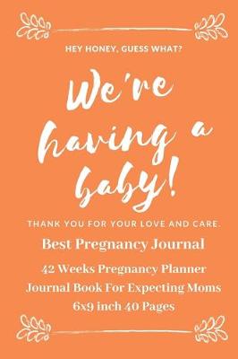 Book cover for Best Pregnancy Journal for first time moms & also all Moms