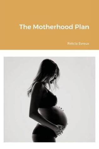 Cover of The Motherhood Plan