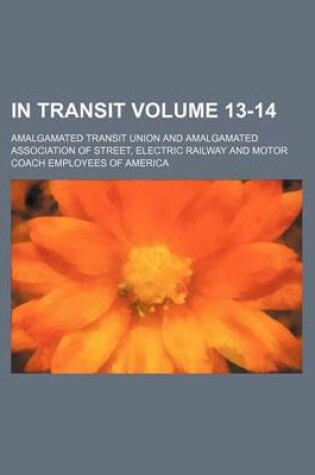 Cover of In Transit Volume 13-14