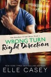 Book cover for Wrong Turn, Right Direction