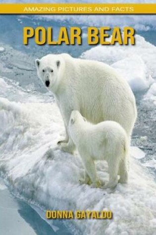 Cover of Polar bear