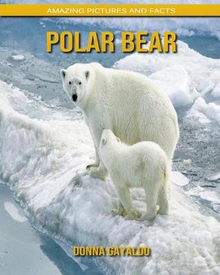 Book cover for Polar bear