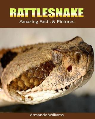 Cover of Rattlesnake