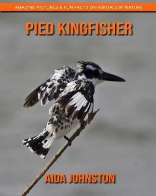 Book cover for Pied Kingfisher