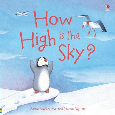 Book cover for How High is the Sky?