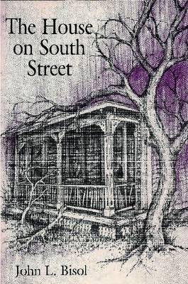 Book cover for The House on South Street