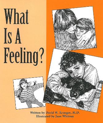 Book cover for What Is a Feeling?