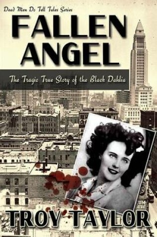 Cover of Fallen Angel